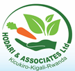 HODARI & ASSOCIATES